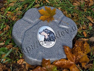 Памятник для домашнего животного