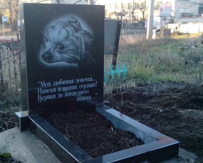 Памятники для животных 1