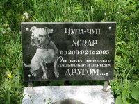 Кладбище домашних животных