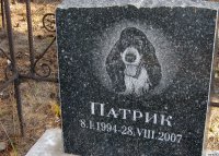 Памятники на кладбище домашних животных
